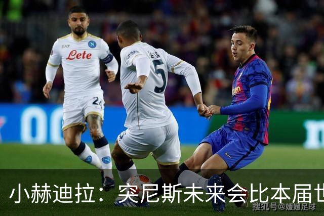 小赫迪拉：突尼斯未来会比本届世界杯更好 批评？我已经付出全力
